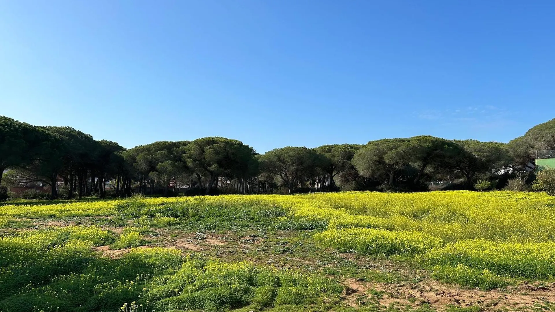 Villas Magnolia Y Brezo Chiclana de la Frontera 0*,